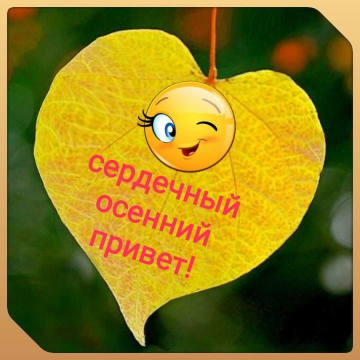 сердечный осенний привет!