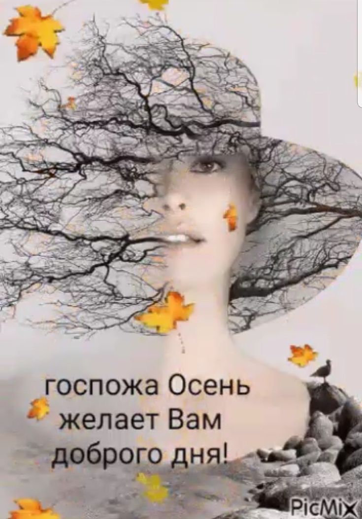 госпожа Осень желает Вам доброго дня!