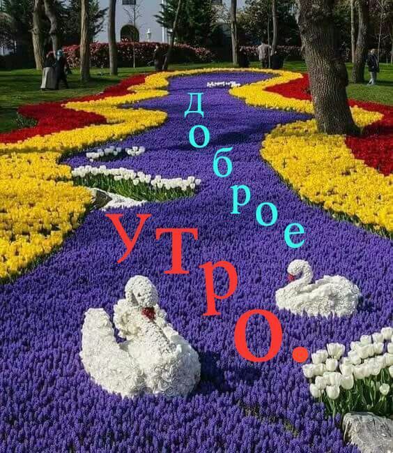 Доброе утро.