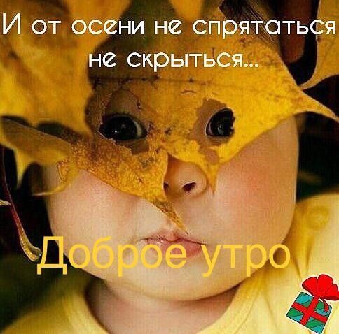 И от осени не спрятаться не скрыться... Доброе утро
