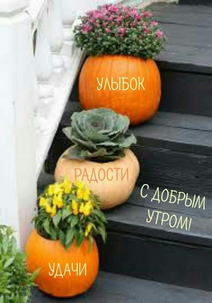 УЛЫБОК РАДОСТИ УДАЧИ С ДОБРЫМ УТРОМ!