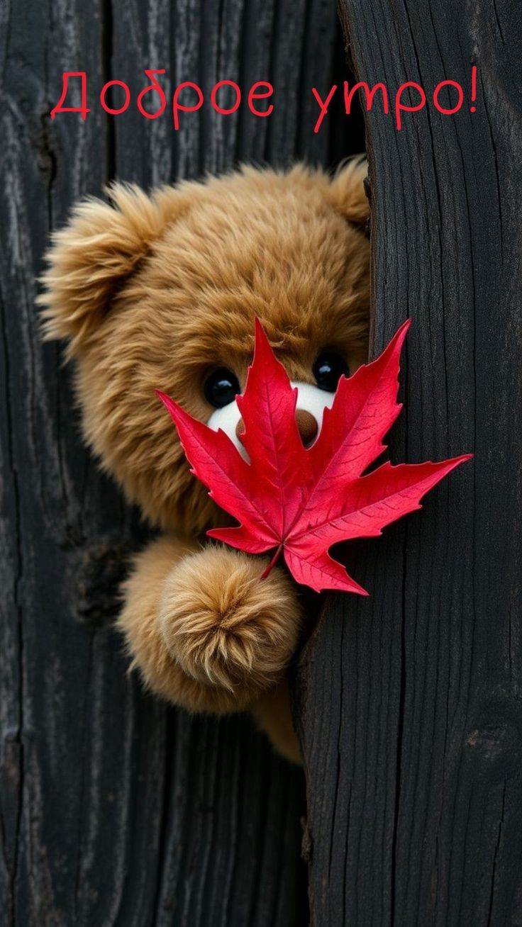 Доброе утро!