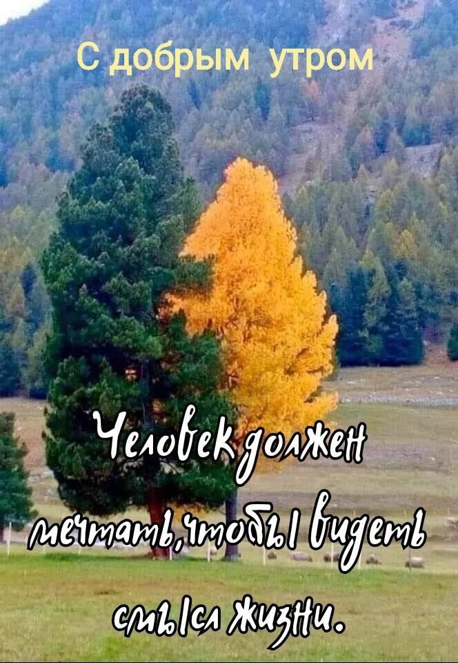 С добрым утром
Человек должен мечтать, чтобы жить