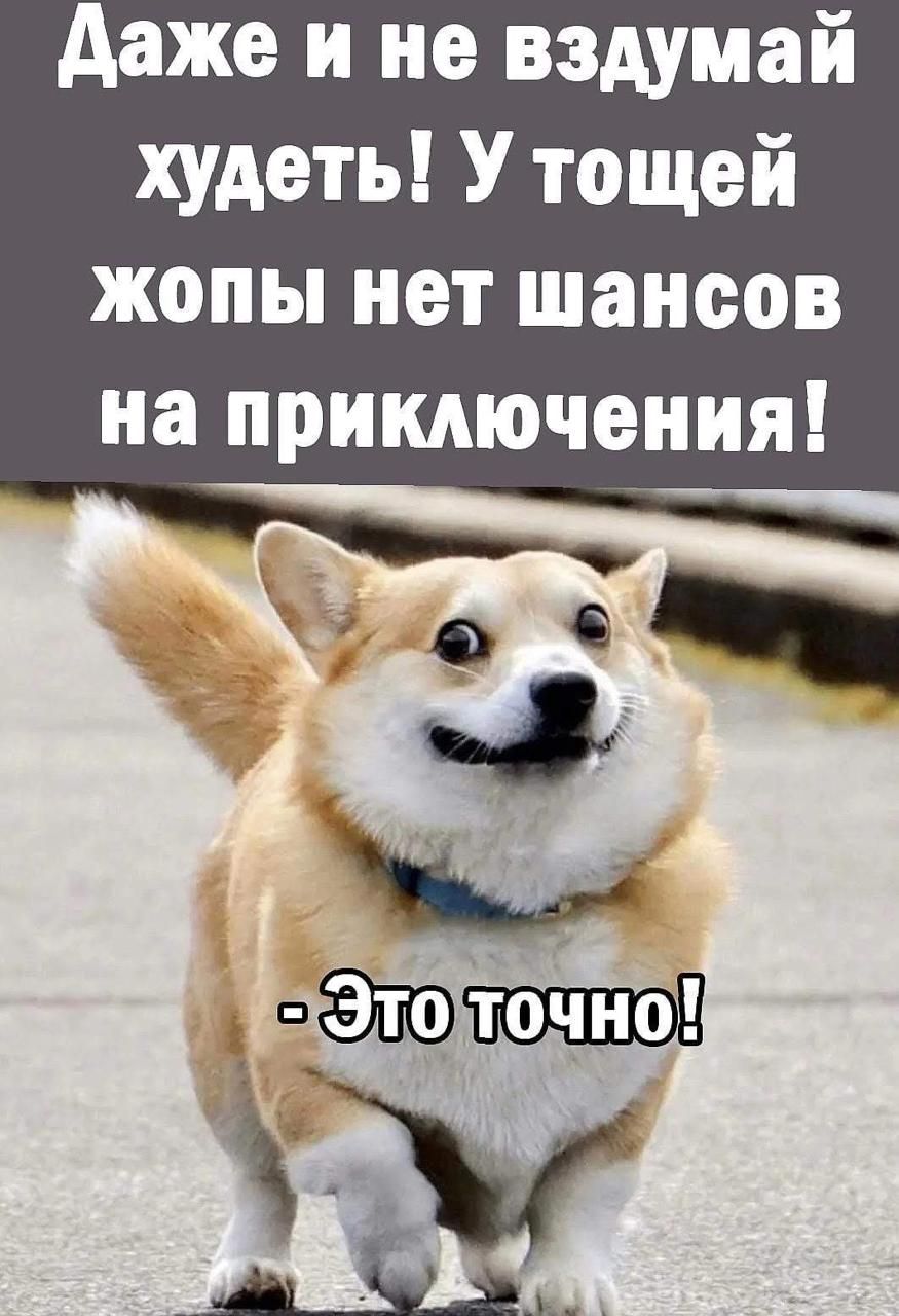 Даже и не вздумай худеть! У той жопы нет шансов на приключения! - Это точно!