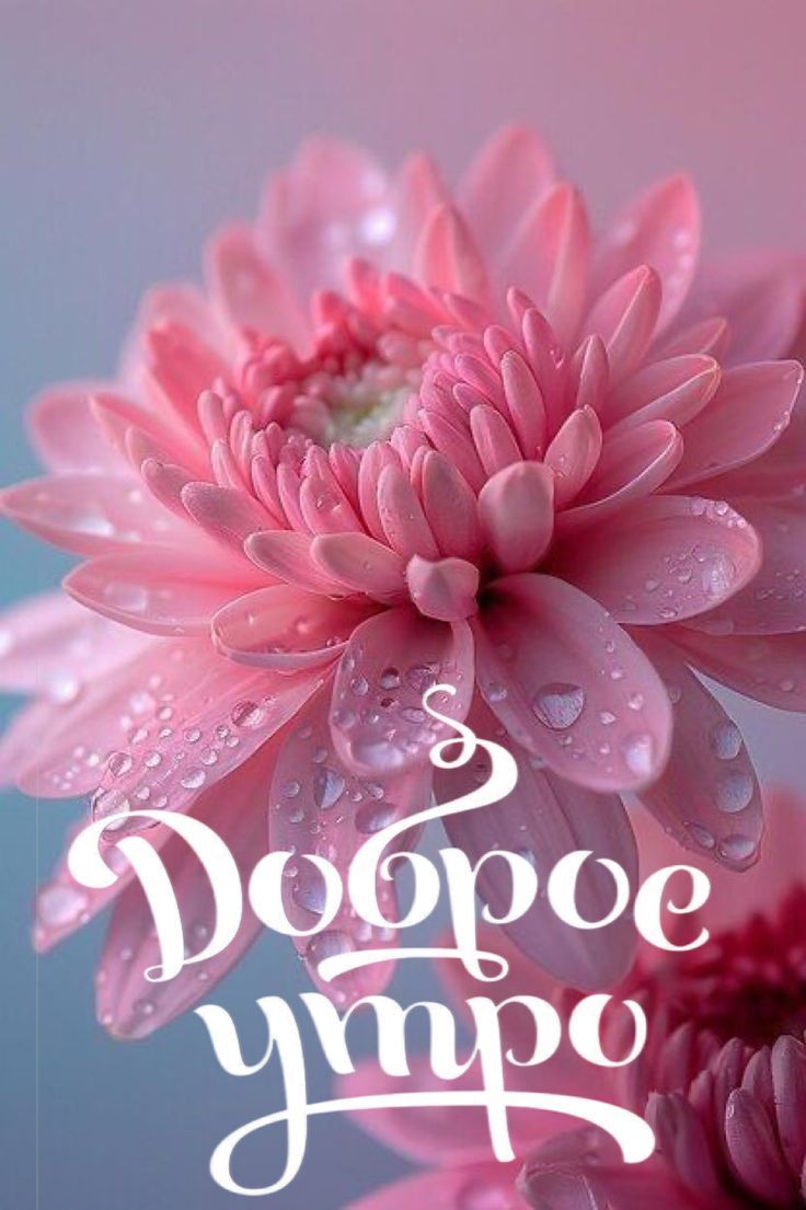 Доброе утро