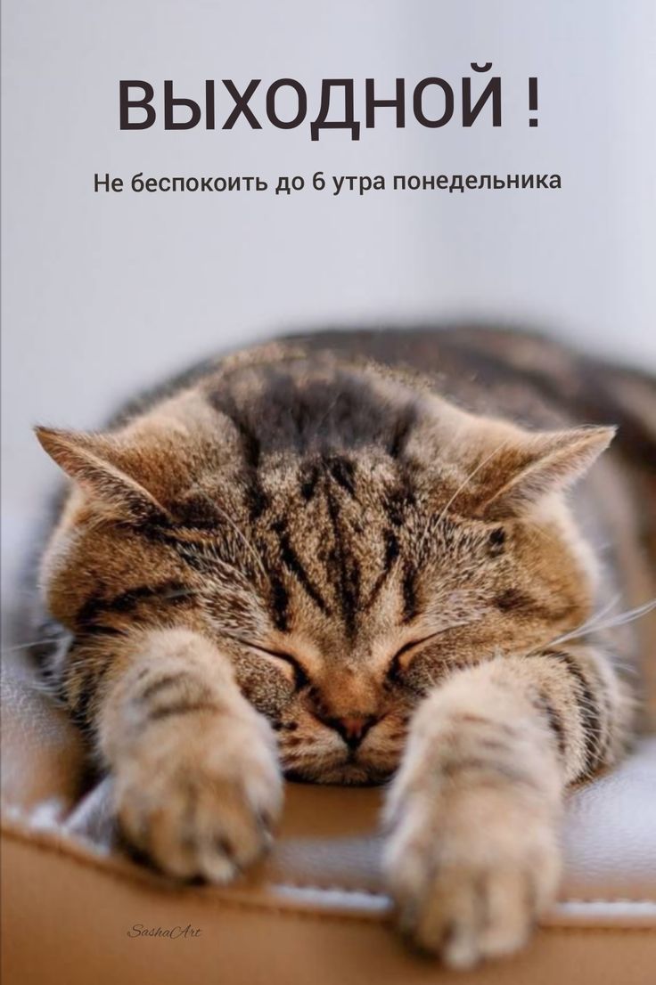 ВЫХОДНОЙ! Не беспокоить до 6 утра понедельника