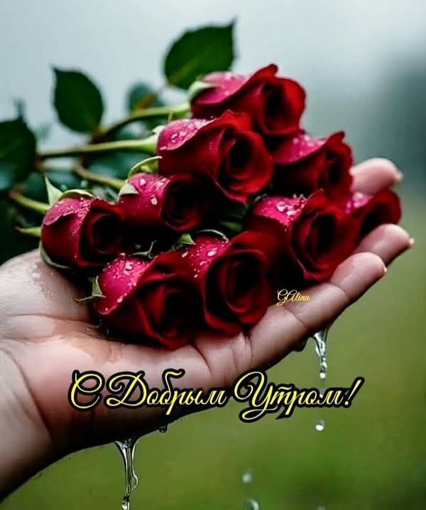 С Добрым Утром!