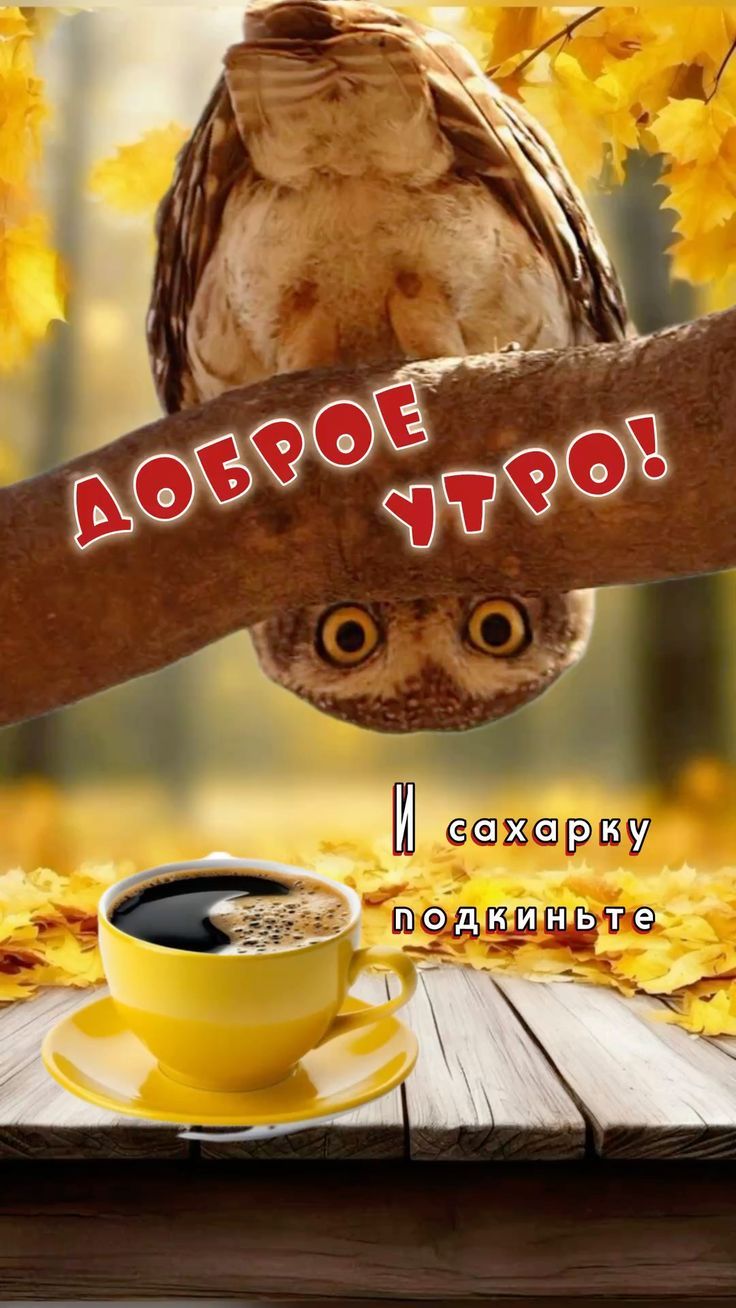 Доброе утро! И сахарку подкиньте