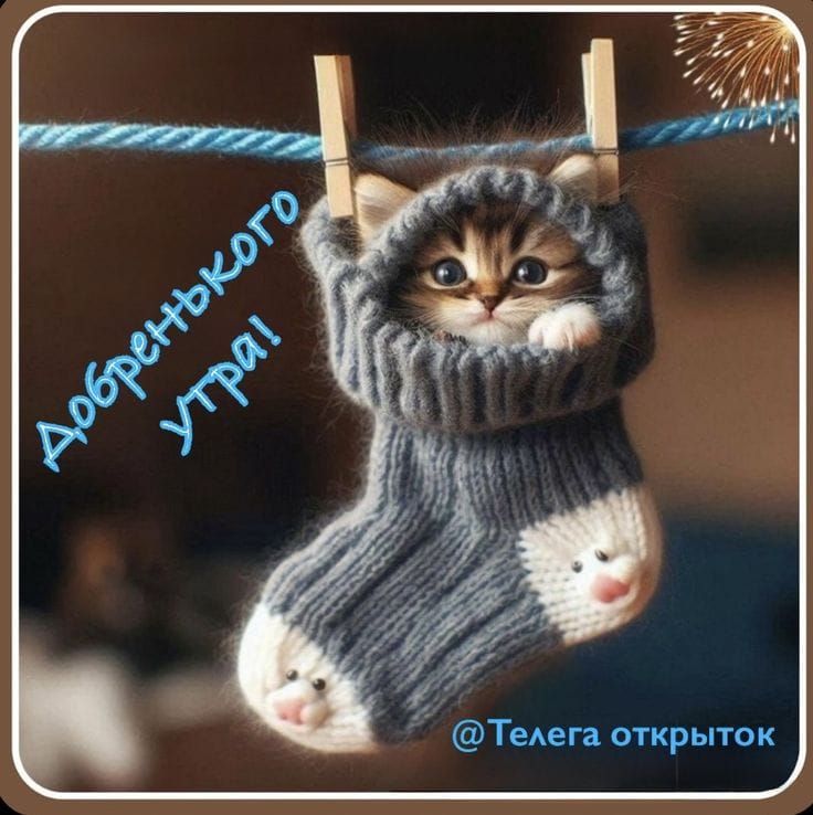 Добренького утра!