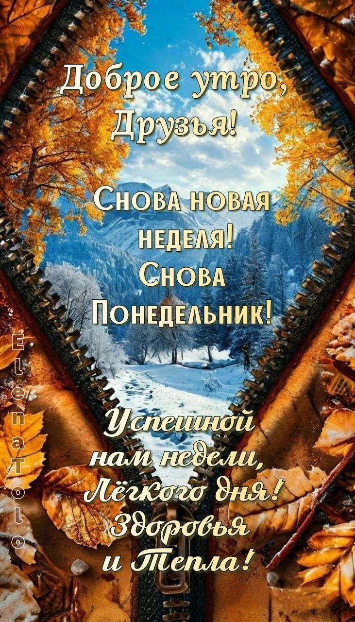 Доброе утро, Друзья! Снова новая неделя! Снова Понедельник! Успешной нам недели, Лёгкого дня! Здоровья и Тепла!