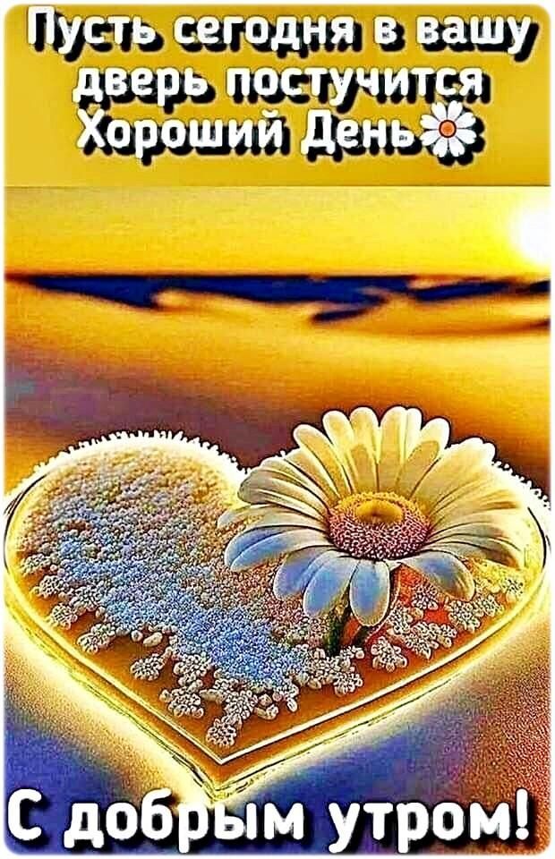 Пусть сегодня в вашу дверь постучится Хороший День. С добрым утром!