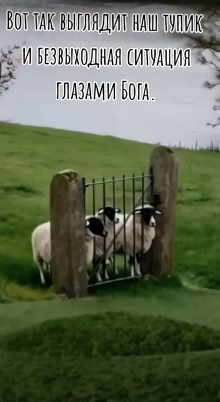 ВОТ ТАК ВЫГЛЛЯДИТ НАШ ТУПИК И БЕЗВЫХОДНАЯ СИТУАЦИЯ ГЛАЗАМИ БОГА.