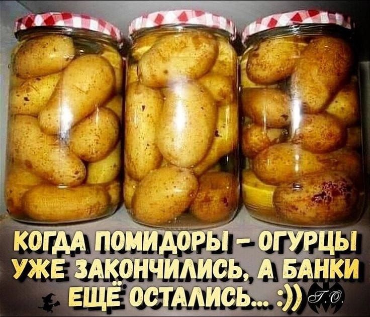 КОГДА ПОМИДОРЫ – ОГУРЦЫ УЖЕ ЗАКОНЧИЛИСЬ, А БАНКИ ЕЩЁ ОСТАЛИСЬ... :))