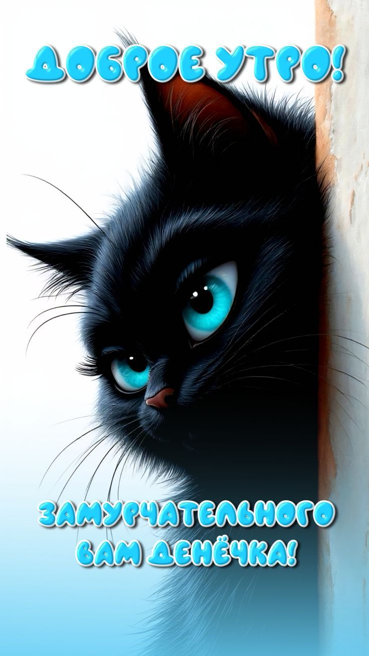 Доброе утро! Замурчательного вам денёчка!