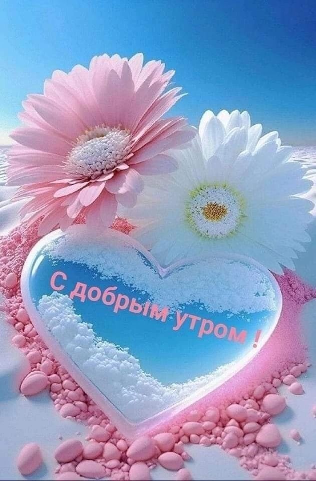 С добрым утром !