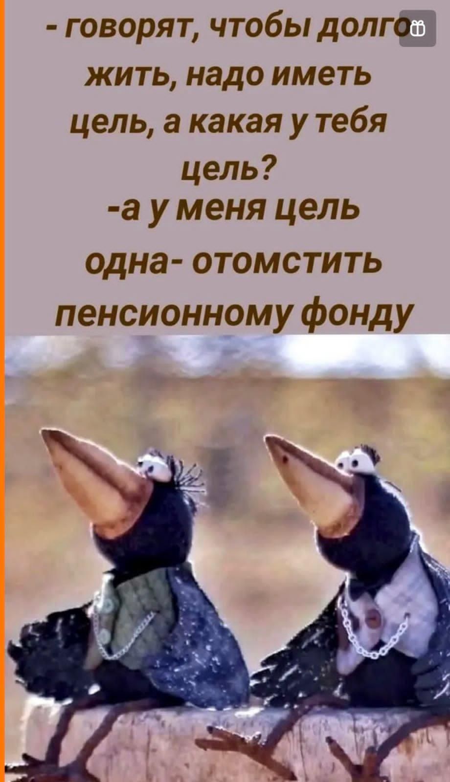 - говорят чтобы долго жить, надо иметь цель, а какая у тебя цель? -а у меня цель одна- отомстить пенсионному фонду