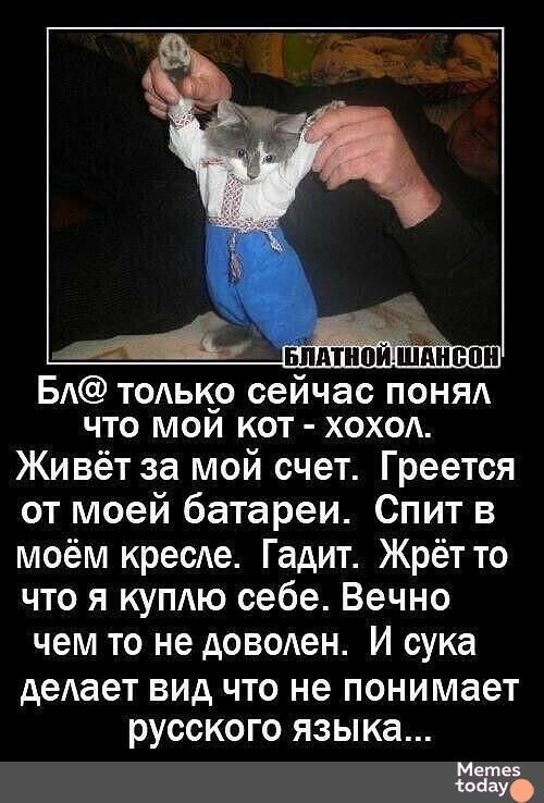 БЛАТНОЙ ШАНСОН
Бл@ только сейчас понял что мой кот - хохол. Живёт за мой счёт. Греется от моей батареи. Спит в моём кресле. Гадит. Жрёт то что я куплю себе. Вечно чем то не доволен. И сука делает вид что не понимает русского языка...