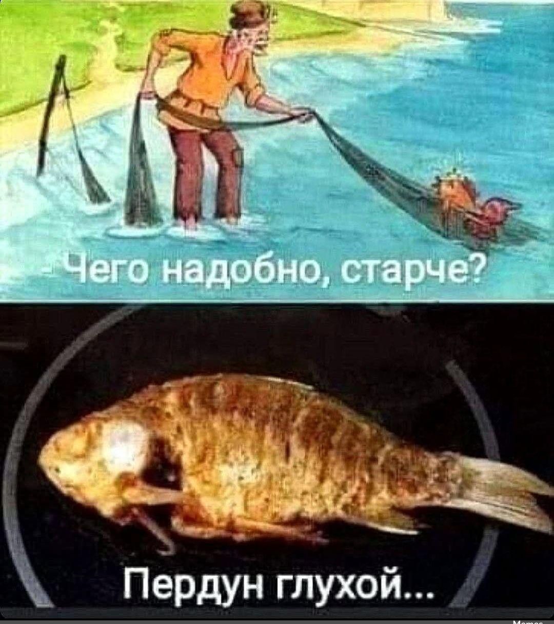 Чего надобно, старче? 
Пердун глухой...