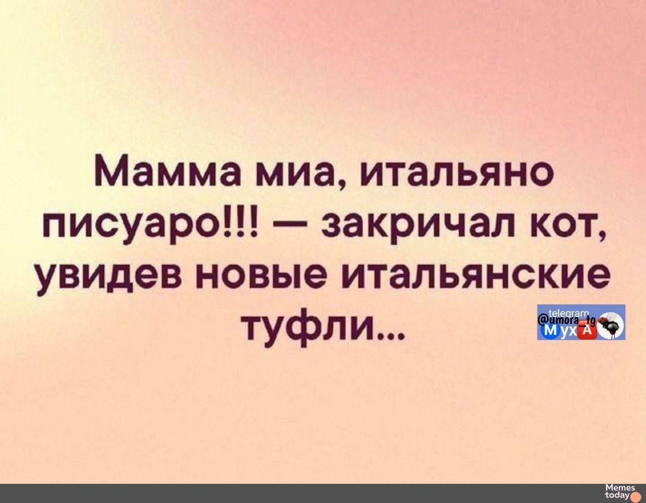 Мамма миа, итальяно писуаро!!! — закричал кот, увидев новые итальянские туфли...