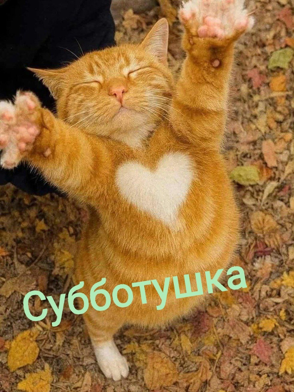 Субботушка