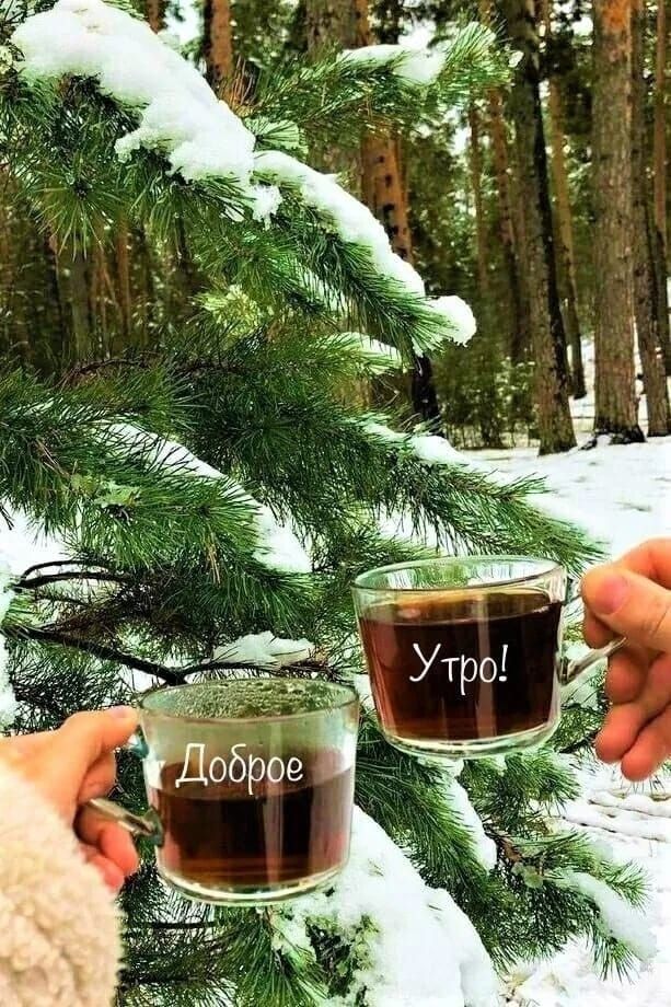 Доброе утро!