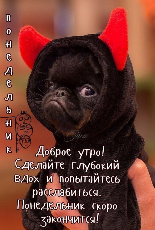 Доброе утро! Сделайте глубокий вдох и попробайтесь расслабиться. Понедельник скоро закончится!