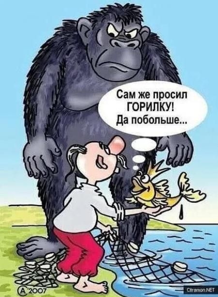 Сам же просил ГОРИЛКУ! Да побольше...
