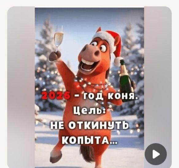 2025 - год коня. Цель не откнуть копыта...