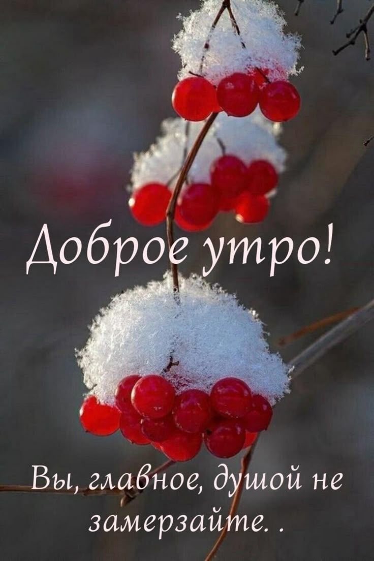 Доброе утро! Вы, главное, душой не замерзайте..