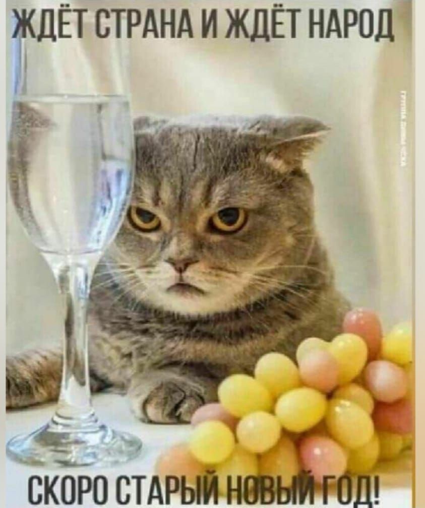 ЖДЁТ СТРАНА И ЖДЁТ НАРОД СКОРО СТАРЫЙ НОВЫЙ ГОД!