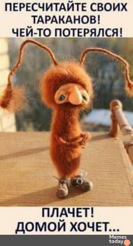 ПЕРЕСЧИТАЙТЕ СВОИХ ТАРАКАНОВ! ЧЕЙ-ТО ПОТЕРЯЛСЯ! ПЛАЧЕТ! ДОМОЙ ХОЧЕТ...