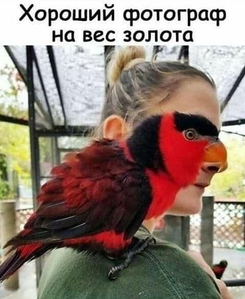 Хороший фотограф на вес золота