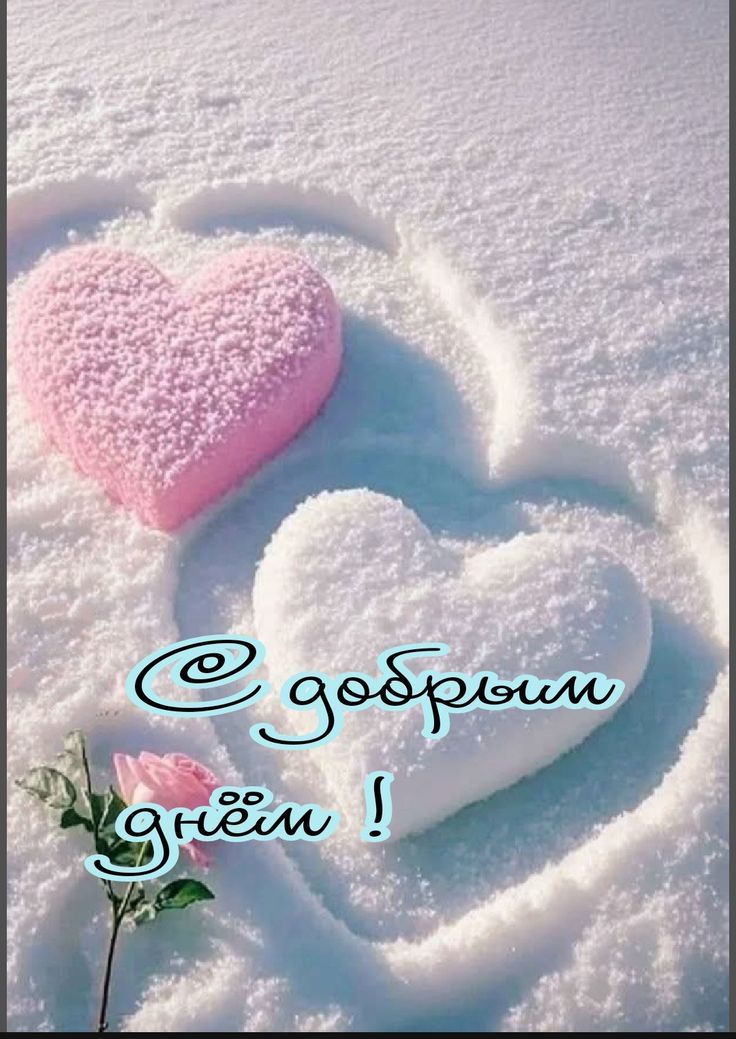 С добрым днём!