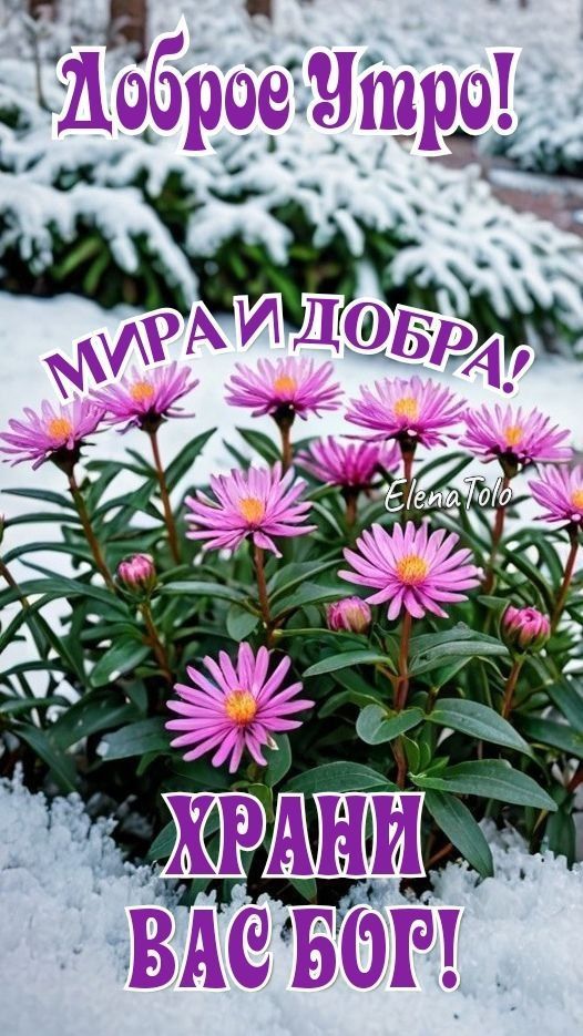 Доброе Утро!
МИРАЙ ДОБРА!
ХРАНИ ВАС БОГ!