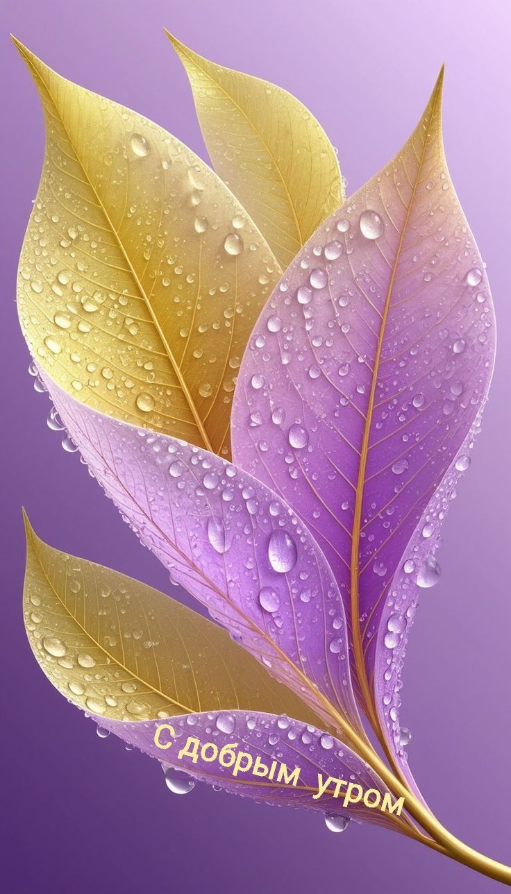 С добрым утром