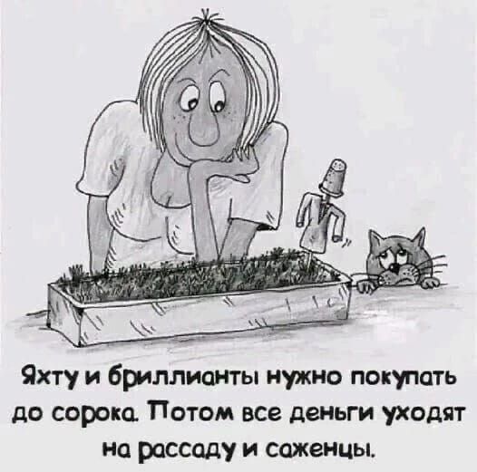 Яхту и бриллианты нужно покупать до сорока. Потом все деньги уходят на рассаду и саженцы.