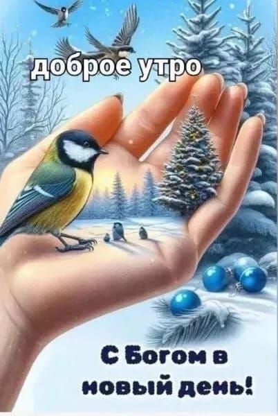 доброе утро
С Богом в новый день!