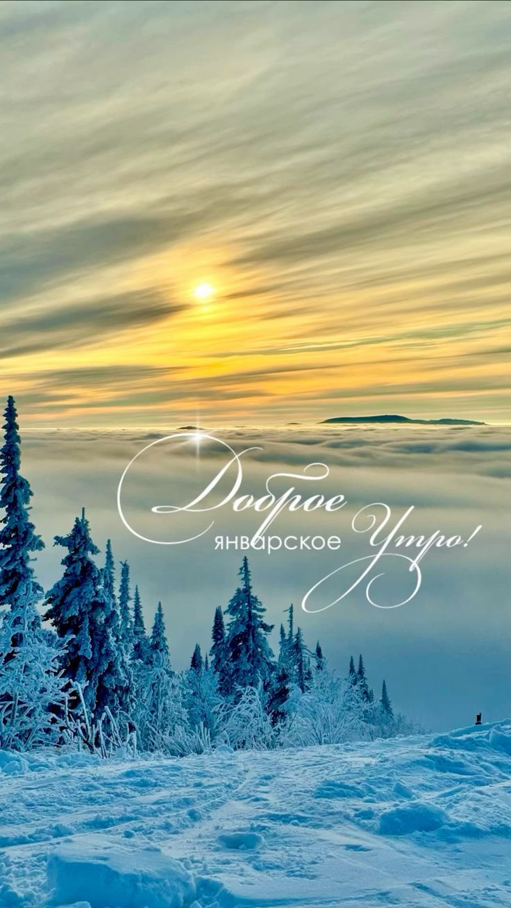 Доброе утро! Январское утро!