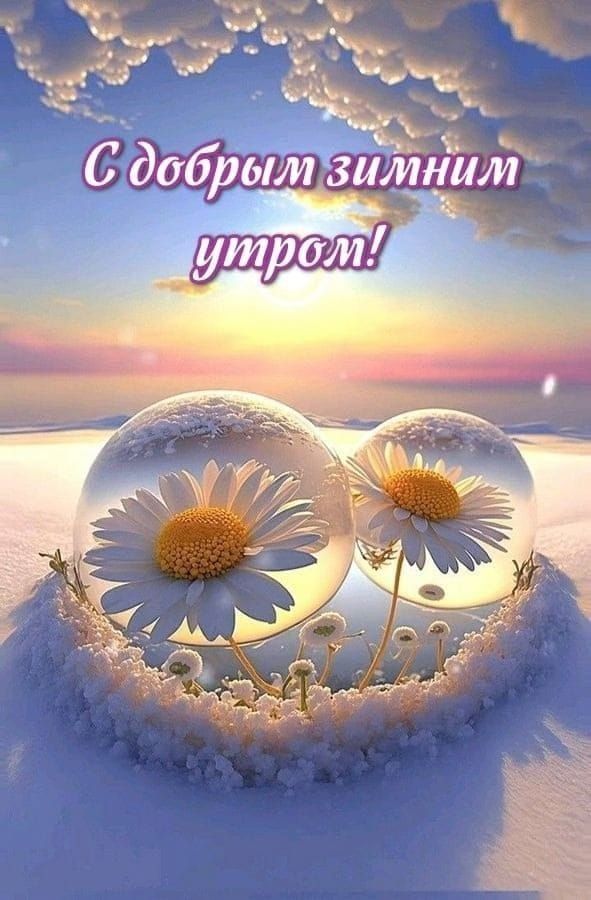 С добрым зимним утром!