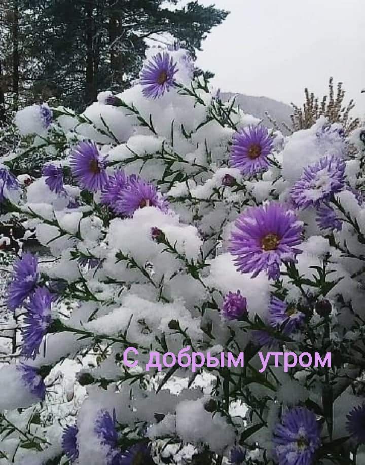 С добрым утром