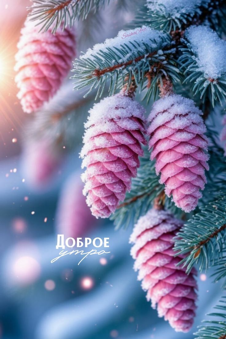 Доброе утро