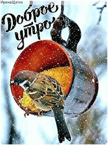 ИринаЩетко Доброе утро