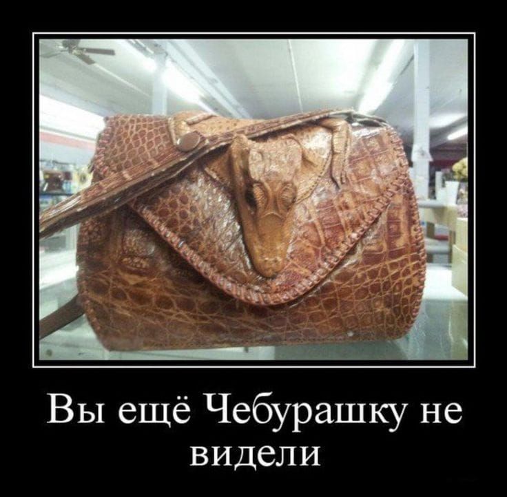 Вы ещё Чебурашку не видели