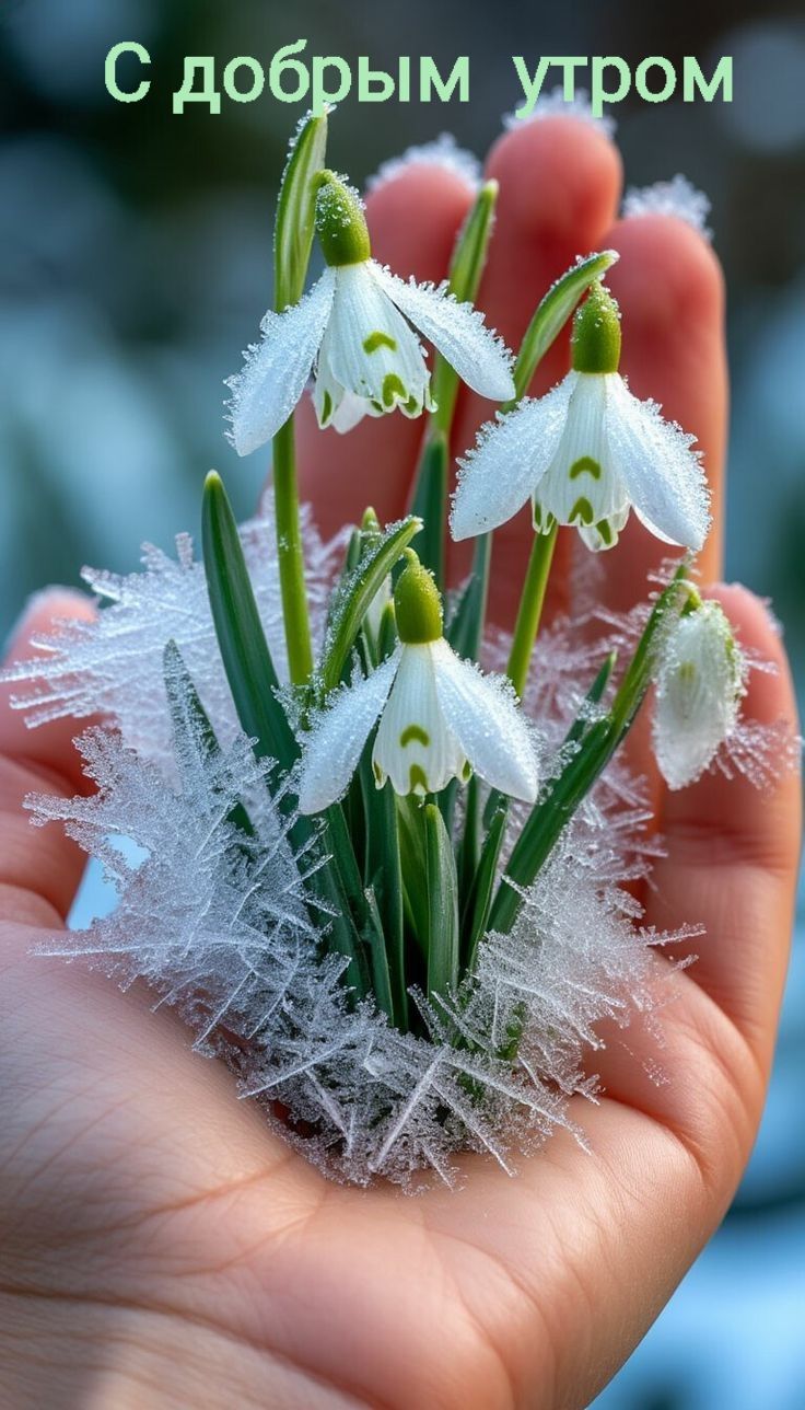 С добрым утром