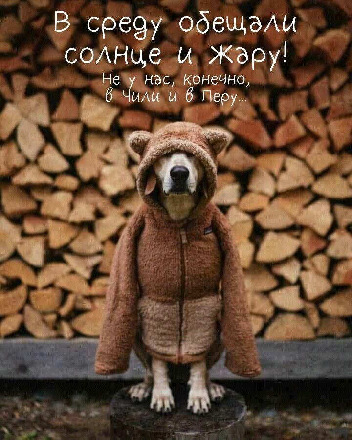 В среду обещали солнце и жару! Не у нас, конечно, в Чили и в Перу...