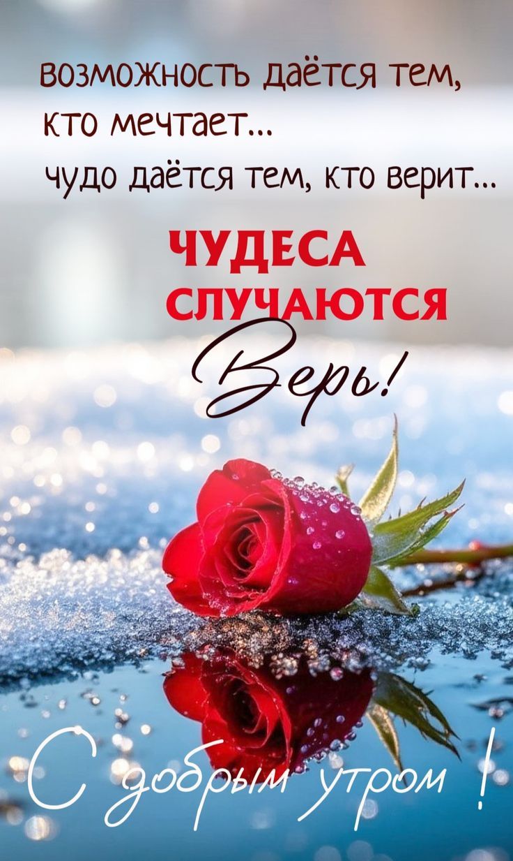 ВОЗМОЖНОСТЬ ДАЁТСЯ ТЕМ, КТО МЕЧТАЕТ...
ЧУДЕСА СЛУЧАЮТСЯ
Верь!
С добрым утром!