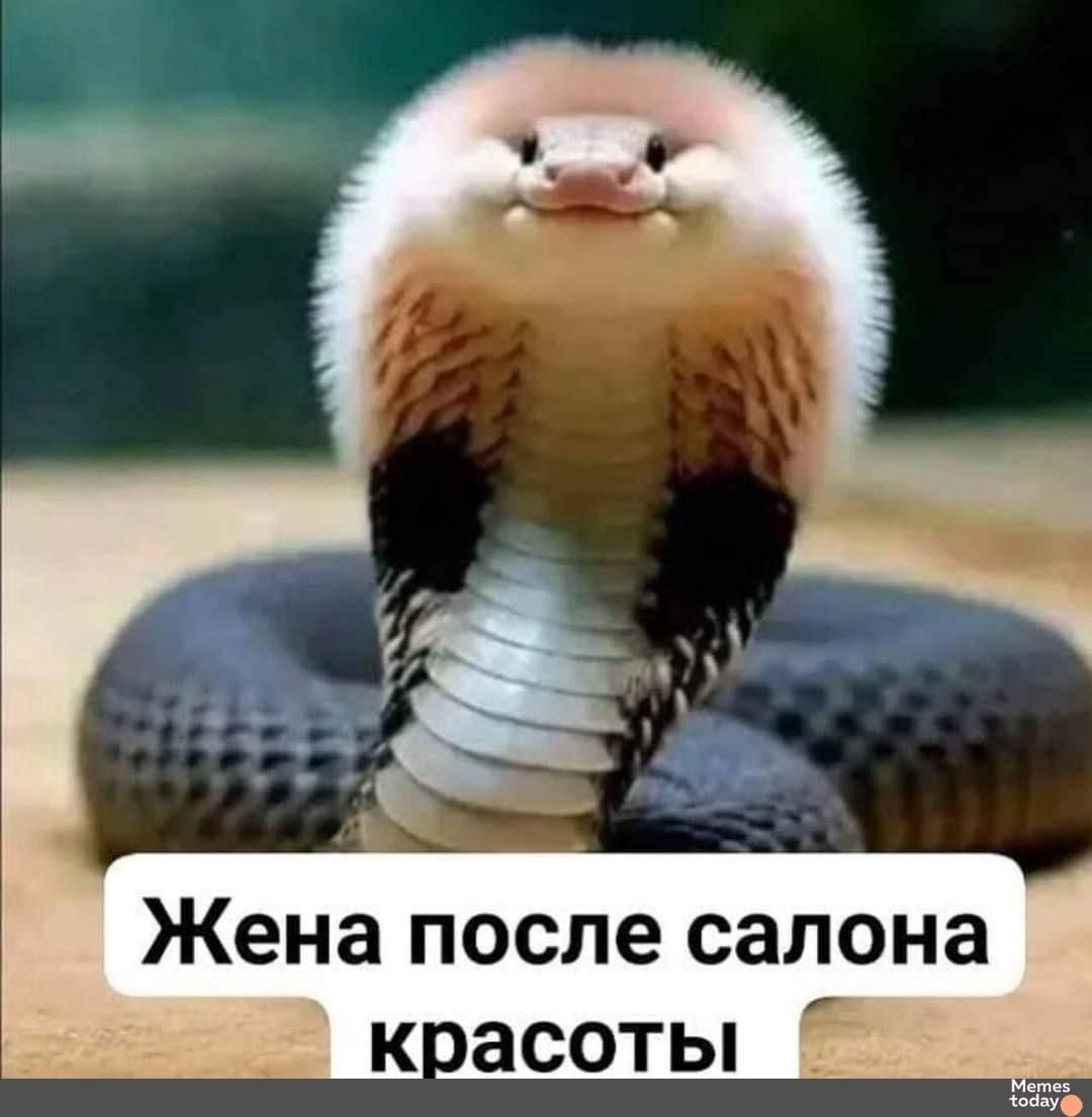 Жена после салона красоты