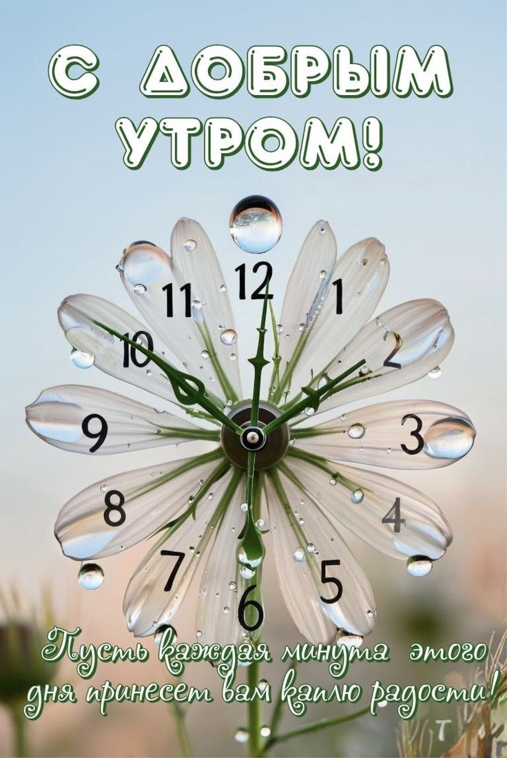 С ДОБРЫМ УТРОМ! Пусть каждый миг этого дня принесет вам каплю радости!