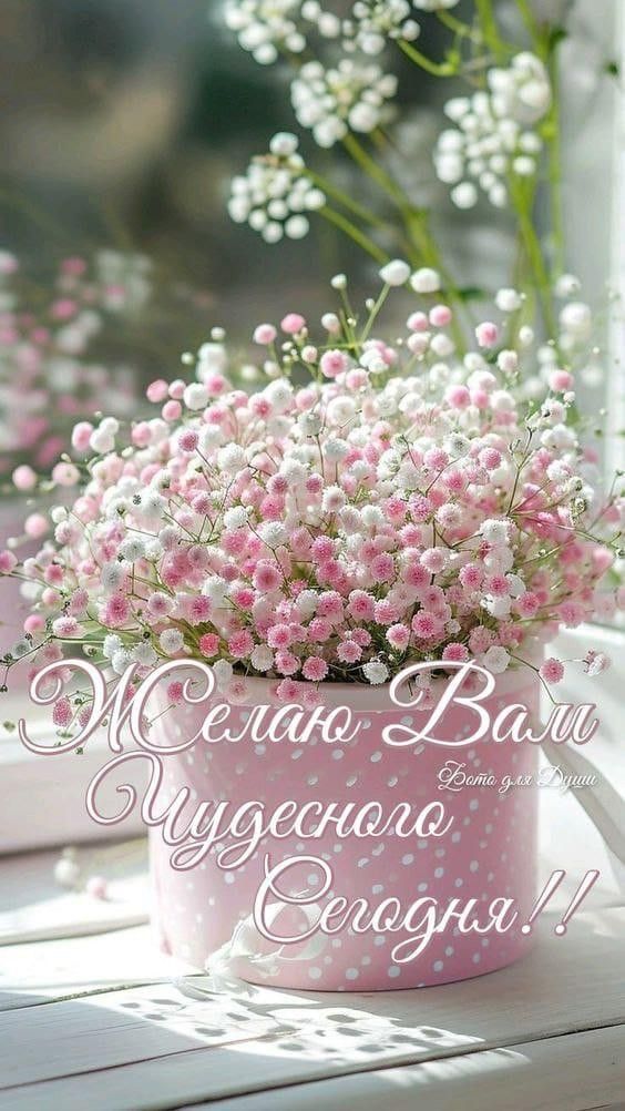 Желаю Вам Чудесного Сегодня!!