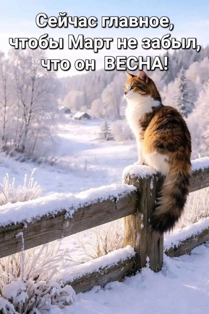 Сейчас главное, чтобы Март не забыл, что он ВЕСНА!